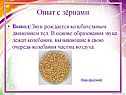 Опыт с зёрнами