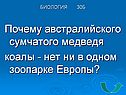 Почему австралийского сумчатого медведя коалы - нет ни в одном