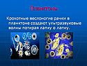 Воздействие ультразвука