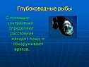 Глубоководные рыбы
