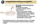 Проекты по энергетике для школьников