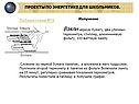 Взяли черную бумагу, два уличных термометра, стиплер, алюминиевую