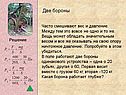 Две бороны