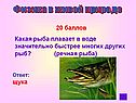 Речная рыба