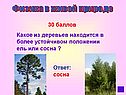 Сосна