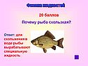 Почему рыба скользкая