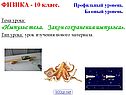Импульс тела