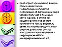 Свет играет чрезвычайно важную роль в нашей жизни