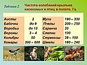 «Звук» физика 9 класс