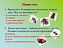 Мини-тест