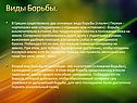 Виды Борьбы