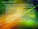 Место для борьбы