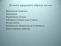 Основы здорового образа жизни