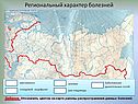 Региональный характер болезней