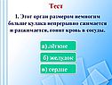 Тест