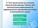 Этот орган похож на длинный извилистый коридор