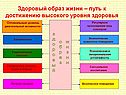 Здоровый образ жизни
