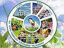 Формирование здорового образа жизни школьника
