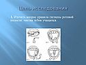 Правила гигиены ротовой полости