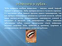 Немного о зубах