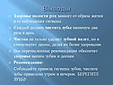 Здоровье полости рта