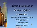 Химия питания