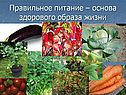 Культура здорового образа жизни