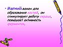 Магний важен для образования костей, он стимулирует работу сердца,