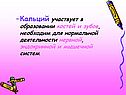 Кальций участвует в образовании костей и зубов, необходим для