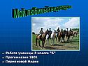 Мой любимый вид спорта