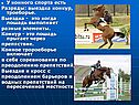 Конный спорт