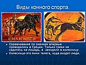 Виды конного спорта
