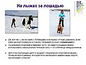 На лыжах за лошадью