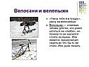 Велосани и велолыжи