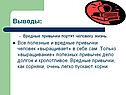 Выводы