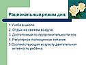 Рациональный режим дня
