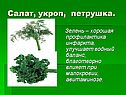Салат