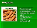 Морковь
