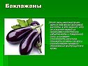 Баклажаны