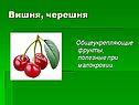 Вишня