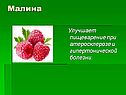Малина
