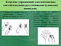 Предплечье