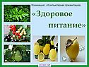 Питание для человека