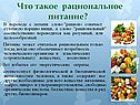 Что такое рациональное питание