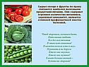 Сырые овощи и фрукты по праву считаются наиболее полезными продуктами