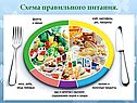 Схема правильного питания
