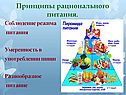 Принципы рационального питания