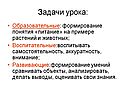 Формирование понятия «питание»