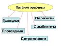 Питание животных