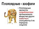 Зоофаги